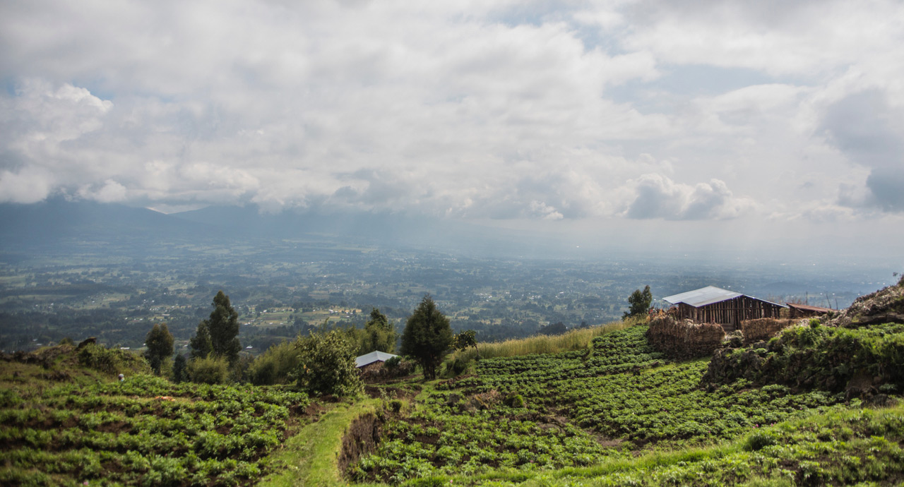 East Africa – Kenya and Rwanda – 10 days